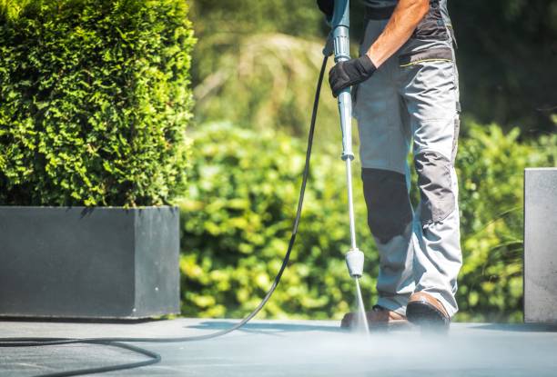 Best Restaurant Pressure Washing  in Spring Valley, CA