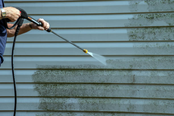 Best Gutter Cleaning  in Spring Valley, CA